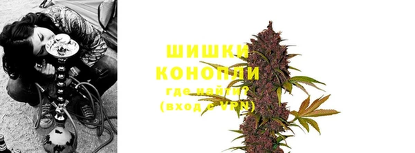 дмт Белокуриха