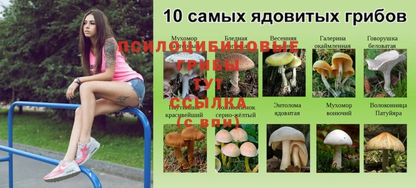 МДПВ Белоозёрский