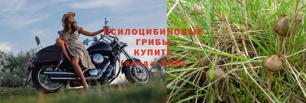 дмт Белокуриха
