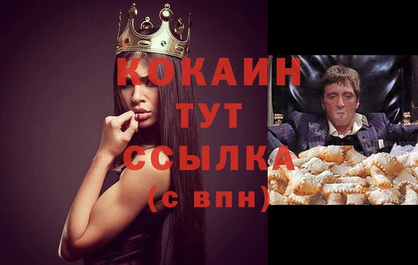 стаф Беломорск